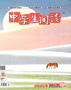 中学生阅读·高中·高考