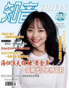 知音海外版(下半月)