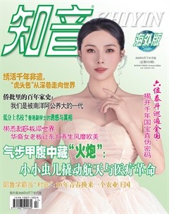 知音海外版（下半月）