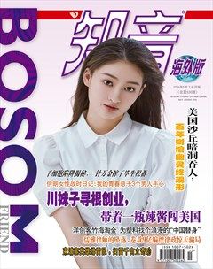 知音海外版（上半月）