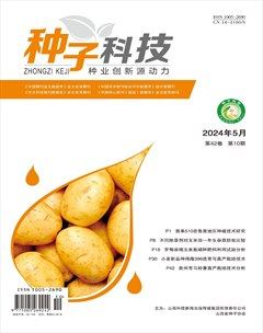 种子科技