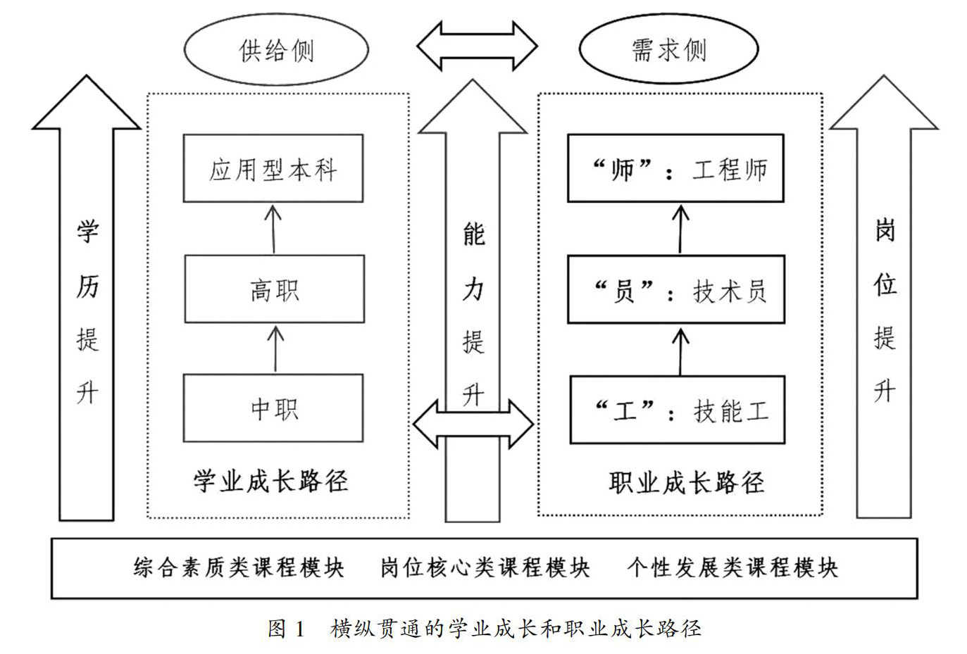 职业能力成长导向的中高本贯通专业教学标准与课程标准研制-龙源期刊