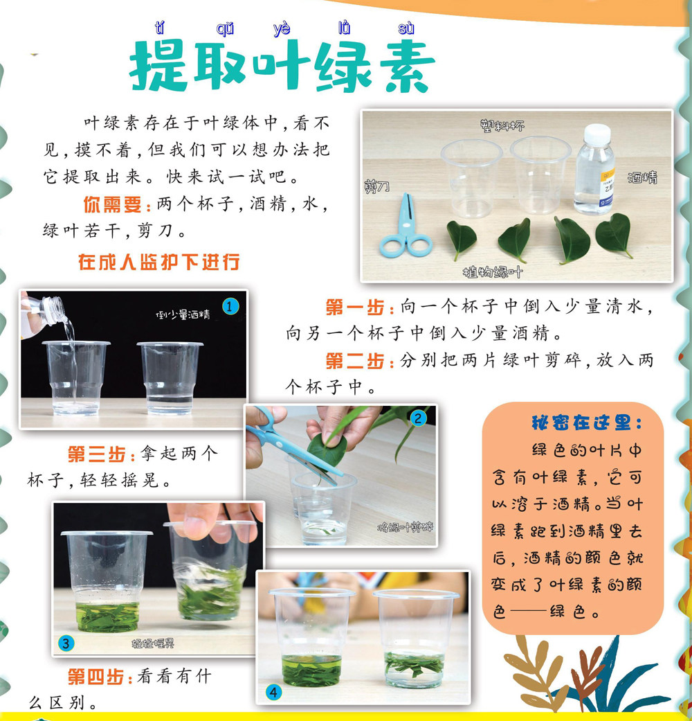 提取叶绿素-龙源期刊网