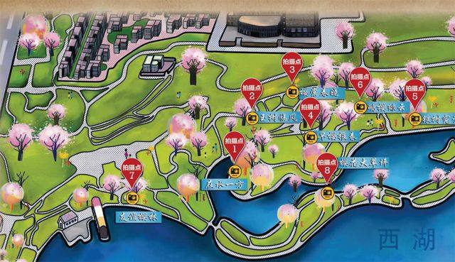 对焦烂漫樱花行摄玉渊潭公园樱花节