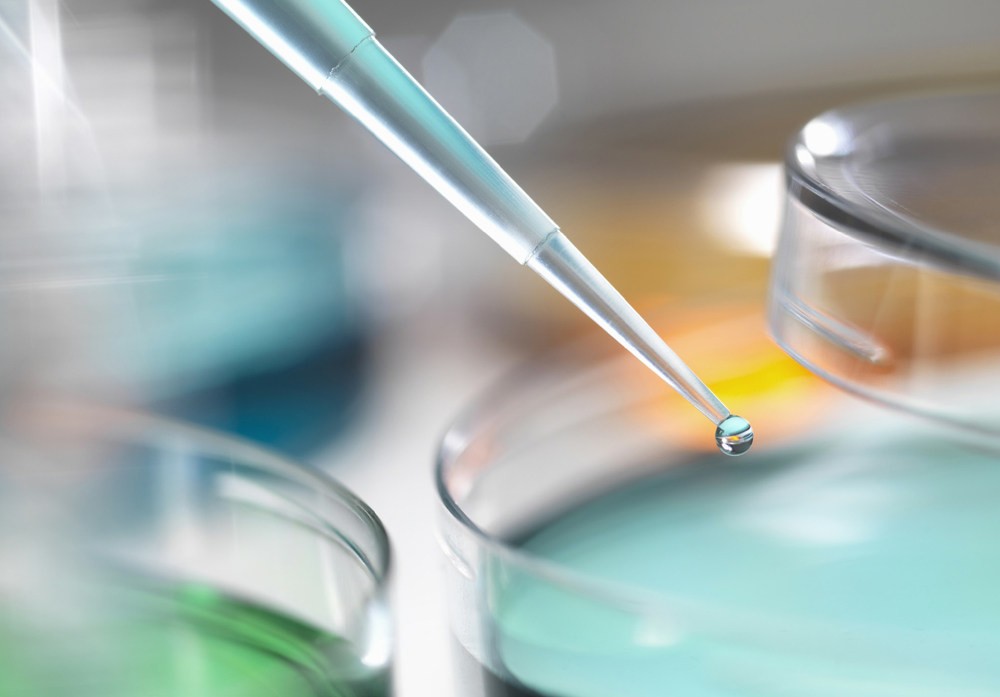 食品理化检验中样品前处理技术的应用及意义